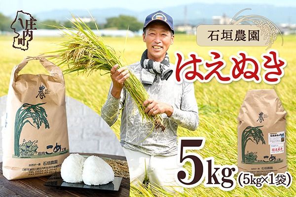 【令和8年産】石垣農園 はえぬき 5kg 5kg×1袋 庄内町産 ブランド米 米 国産 単一原料米 山形 庄内平野 庄内