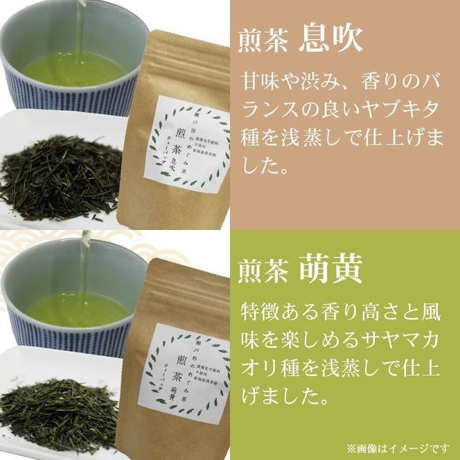 春 の お茶 4種 セット ティーバッグ 茶葉 煎茶 釜炒り茶 春のお茶 息吹 萌黄 こかげ 薫風 浅蒸し茶 静岡県産 静岡茶 飲料 おちゃ 静岡県 藤枝市