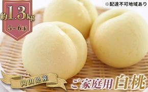 桃 2026年 先行予約 ご家庭用 岡山の 白桃 早生種 5～6玉 合計約1.3kg もも モモ 岡山県産 国産 フルーツ 果物 ギフト