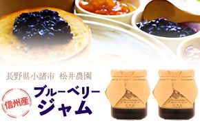 ジャム【ブルーベリージャム（140g）２個セット】ブルーベリー 完熟  果物 ペースト トッピング  トースト ヨーグルト 信州 長野