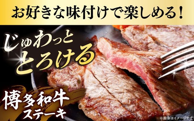 【全12回定期便】【溢れる肉汁と濃厚な旨味】博多和牛サーロインステーキセット 500g(250g×2枚)《築上町》【株式会社MEAT PLUS】[ABBP032]