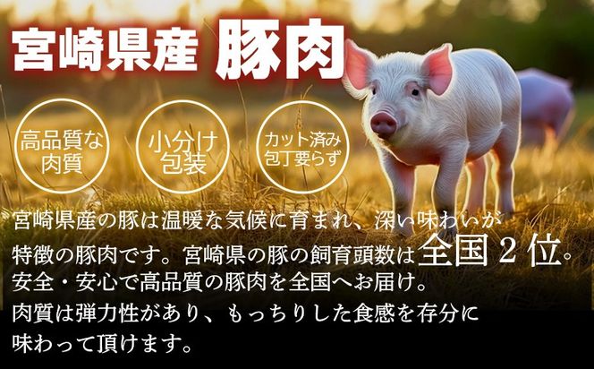 ＜宮崎県産豚肉バラエティー詰合せセット 2.3kg＞入金確認後、2026年1月に順次出荷 【国産 宮崎県産 ぶた にく 精肉 とんかつ トンカツ 焼肉 焼き肉 スライス 小間切れ 豚こま 詰め合わせ 6種類 肩ロース ウデ ミヤチク 宮崎県 国富町】【b1031_my_jan】