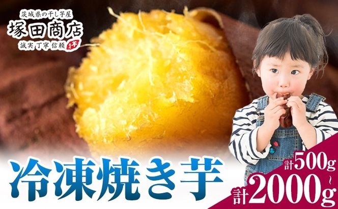 y錧szⓀĂ 500g 1000g 2000g 錧Y g͂邩 ق ˓cX s30ȓɏoח\(yj)tĂ ܂ Tc}C ܈ َq XC[c  aَq---yuki_tkd_23_1p---