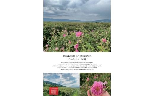 国産はちみつで作る二層の蜂蜜＆砂糖不使用蜂蜜ブルーベリージャムのオリジナル２本セット（国産・非加熱蜂蜜使用）｜栃木県産さくら蜂蜜・百花蜜・バラの蜂蜜