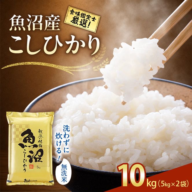 【令和8年産 先行予約】《無洗米》食味鑑定士厳選！魚沼産こしひかり 10kg（5kg×2） 白米 安心 安全 こだわり 米 コシヒカリ 新潟県 十日町市