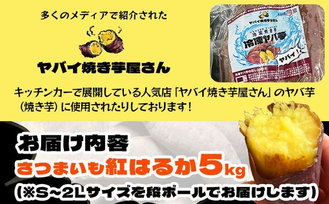 北海道 伊達 さつまいも 紅はるか 5kg 熟成 高糖度 サツマイモ 芋 甘い スイートヤバ芋 産地直送