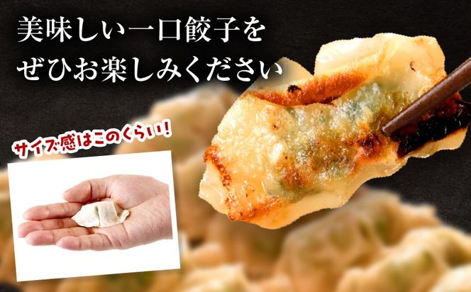 【4回定期便】一口餃子 50 個入りタレ１個（3か月に1回お届け）_kn107-t004