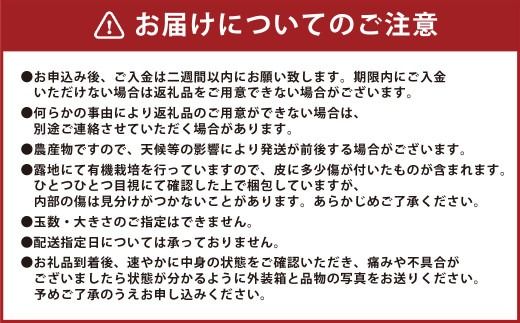 【先行受付】 有機JAS 新玉ねぎ 5kg 玉ねぎ 新たまねぎ 玉葱 たまねぎ 新玉 新玉葱 野菜【2027年3月上旬から4月上旬発送予定】