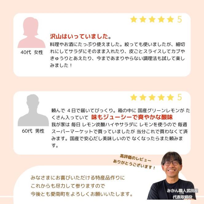 訳あり レモン（イエローレモン） 1kg りのか 減農薬 レモン イエローレモン 農家直送 こだわり らんきんぐ 柑橘 かんきつ 檸檬 果物 くだもの 果実 国産 フルーツ 有名 愛媛 ブランド 愛媛県産 瀬戸内 ビタミン 美味しい 生産者 直送 産直 無添加 レモンサワー ジュース チューハイ 愛媛県 愛南町 みかん職人武田屋