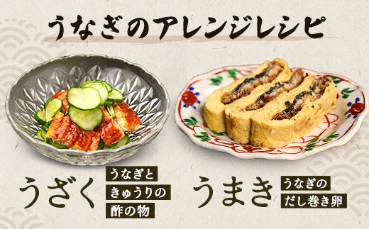【一度食べたらやみつき！リピート多数 】うなぎ蒲焼２尾セット【D009W】