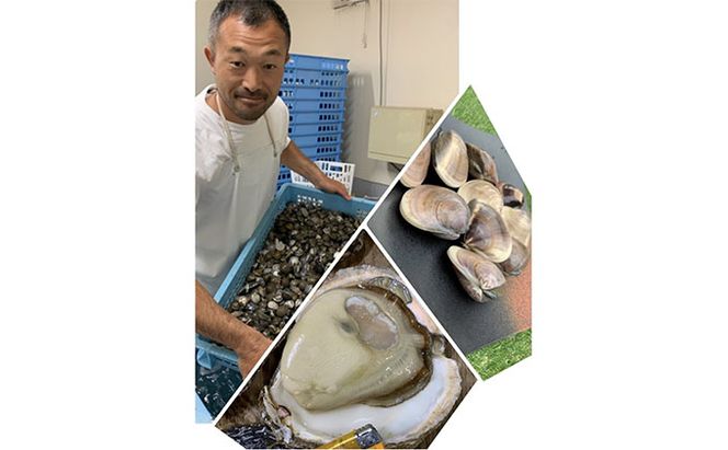 12ヶ月毎月届く地元漁師が厳選！！”天然蛤”ご注文時お勧めサイズお任せセット2kg入り 貝 貝類 魚介類 身が厚い 甘み 旨み あふれ出る出汁 国産 海の幸 
