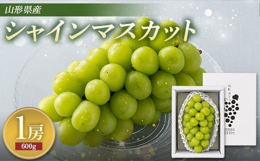 FYN9-713 《2026年先行予約》贈答用 山形県産 シャインマスカット 1房（600g以上）秀品 2026年9月上旬から順次発送 種なし ぶどう ブドウ 葡萄 マスカット 大粒 高級 くだもの 果物 フルーツ 秋果実 化粧箱 贈答 ギフト プレゼント 産地直送 農家直送 山形県 西川町 月山