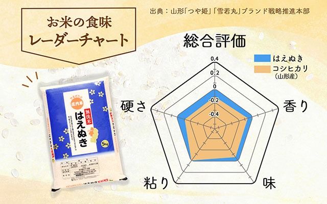 庄内産 はえぬき無洗米 10kg 2kg×5袋 令和7年産 2025年産 ブランド米 コシヒカリの原点、亀の尾発祥の地 庄内