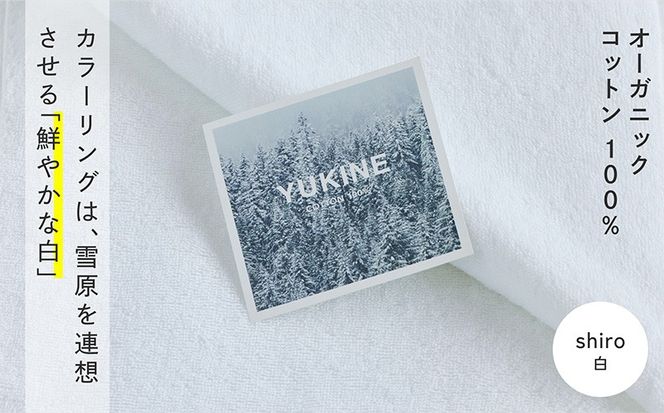 099H3999 SHINTO TOWEL「ユキネ・ミニバスタオル」shiro（白）2枚セット オーガニックコットン100%