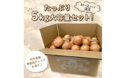 【予約：2024年9月中旬から順次発送】農家直送 村中さんちの玉ねぎ 5kg混玉 M～2Lサイズ ( タマネギ たまねぎ 玉葱 野菜 北海道産 詰合せ )【095-0020】