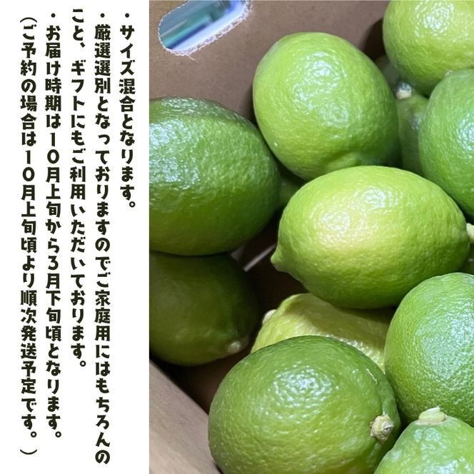 【国産】紀州和歌山 有田レモン 2kg+200g(傷み補償分)