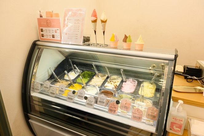 はちみつ ジェラート と はちみつ屋さん の カマンベール（ジェラート等24個） スイーツ お菓子 アイス シャーベット お菓子 ケーキ タルト ※北海道・沖縄・離島への配送不可