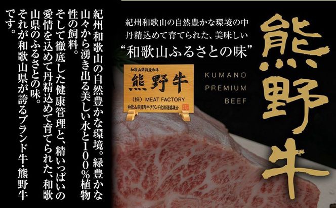 熊野牛 赤身 ローストビーフ 500g 株式会社Meat Factory《30日以内に出荷予定(土日祝除く)》和歌山県 日高川町 送料無料 牛肉 肉 ローストビーフ 冷凍---wshg_fmfy35_30d_24_19000_500g---
