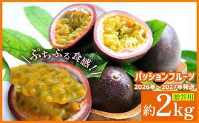【2026年～2027年発送】パッションフルーツ 約2kg（贈答用）