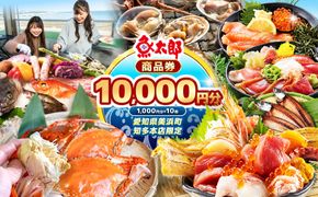 【魚太郎知多本店】商品券1万円分 魚太郎 ふるさと納税 海鮮 刺身 干物 ひもの バーべキュー 愛知県 美浜町※ゆうパックにて配送 ※2025年10月より利用方法が変わりました 〇