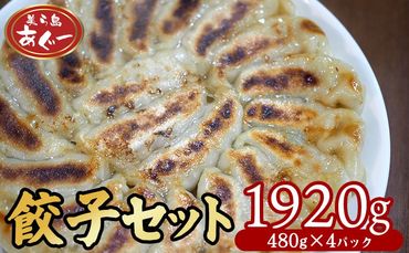 【美ら島あぐー】　餃子セット　1920ｇ 【480g×4パック】 あぐー もっちり 沖縄 大宜味村 豚肉 小分け 国産 おつまみ こだわり ぶた アグー 加工品 おいしい 美味しい 取り寄せ 肉 豚 冷凍 まろやか 旨味