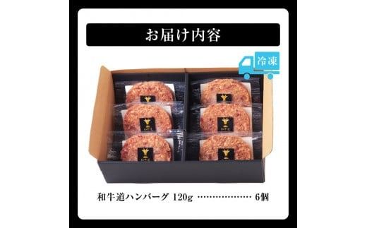 ブランド和牛「十勝姫」の和牛道ハンバーグ120g×6個セット_S017-0003