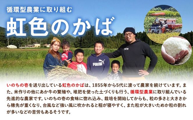 令和7年産 特別栽培米 いのちの壱(玄米)20kg 10kg×2 雑穀米付き《60日以内に出荷予定(土日祝除く)》 熊本県 南阿蘇村 熊本県産 虹色のかば 雑穀米---sms_inci6_60d_r7_60000_20kg---