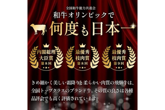 飛騨牛ヒレステーキ　340g(170g×2枚) 【中日ドラゴンズコラボ】 【0016-112】