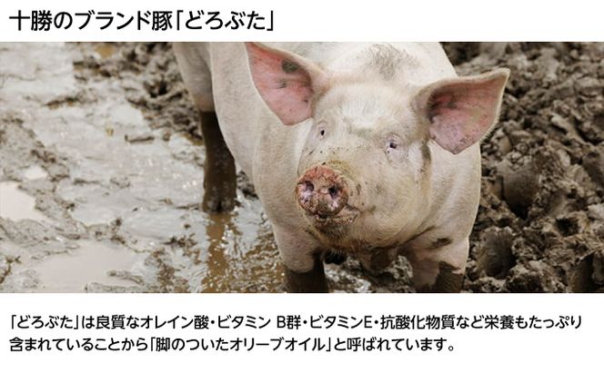 北海道十勝のメンチカツとコロッケ2種 70g×6個（どろぶたメンチカツ・黒毛和牛コロッケ）各3個［木川商店］【 加工品 惣菜 冷凍 お肉 豚肉 牛肉 レンジ お手軽 簡単 北海道 十勝 幕別  】 