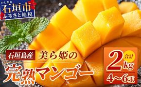 ［予約受付］美ら姫マンゴー2kg（完熟・アーウィン種）≪2026年7月中旬～順次発送≫【 産地直送 沖縄県 石垣市 マンゴー フルーツ 果物 南国 石垣島 】CB-2