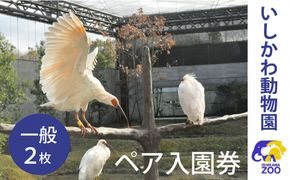 チケット いしかわ動物園ペア入園券（一般）石川県 能美市 172111_CX007