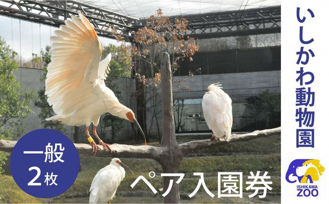 チケット いしかわ動物園ペア入園券（一般）石川県 能美市 172111_CX007