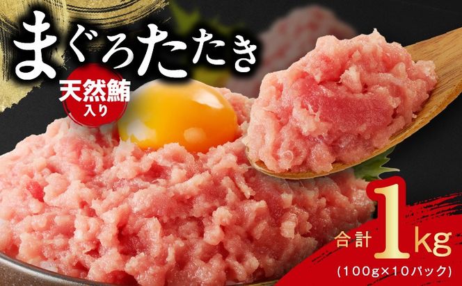 099H4046-1 ねぎとろ 1kg（100g×10P）【天然鮪 小分け 海鮮 人気 オススメ 小分け 冷凍 簡単調理 一人暮らし ファミリー】