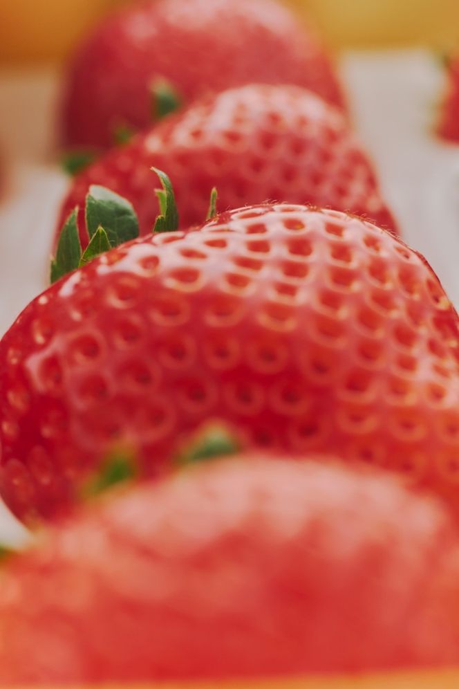 冷凍いちご 450g×18