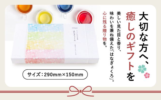 【京都ぎょくろのごえん茶】4色の玉露ハーブティー はなぎょくろ 飲み比べセット［ 京都 お茶 ハーブブレンド 玉露 ぎょくろ 人気 おすすめ 飲み比べ プレゼント ギフト お取り寄せ 通販 送料無料 ふるさと納税 ］ 261009_A-UZ004