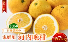 【先行予約】【家庭用】河内晩柑 7kg ※離島への配送不可 （2027年4月10日より順次発送） IKTA030