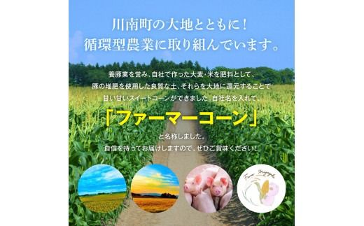 【令和7年発送】宮崎県産とうもろこし　ファーマー宮崎 ファーマーコーン「ゴールドラッシュ」10kg（24～30本）【 先行予約 数量限定 とうもろこし 2025年発送 トウモロコシ スィートコーン 期間限定 先行受付 】 [D09002]