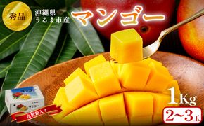 沖縄県 うるま市産 完熟 マンゴー 秀品 1kg【2026年発送】