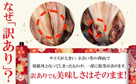 【2026年10月下旬発送】干物 おまかせ詰め合わせセット 3.5kg以上 真ホッケ 縞ホッケ サバ