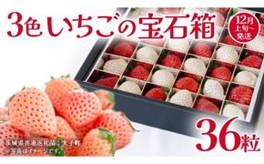 3色いちご の宝石箱36粒【2026年12月上旬発送開始】(茨城県共通返礼品：大子町) いちご 苺 果物 フルーツ 果実