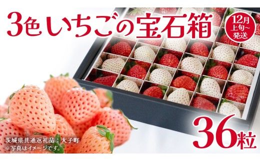 3色いちご の宝石箱36粒【2026年12月上旬発送開始】(茨城県共通返礼品：大子町) いちご 苺 果物 フルーツ 果実