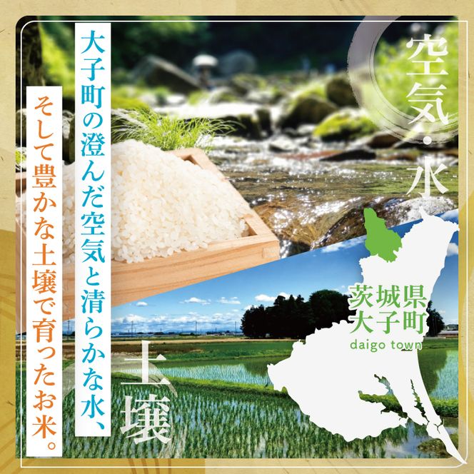 【特別栽培米】【谷田部農産】立神米「にじのきらめき」15kg（5kg×3袋）（白米）令和7年産 ｜茨城県 大子町 奥久慈 大子産米 精米 米 コンテスト 受賞 生産者（BT086）