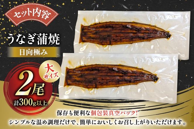 うなぎ 国産 日向極み うなぎ蒲焼 2尾 計300g以上 【たれ・山椒付き】 [日向サンパーク 宮崎県 日向市 452061636] ギフト 小分け 真空パック 鰻 ウナギ うなぎの蒲焼 蒲焼 蒲焼き