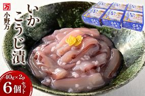 いかこうじ漬 40g×2P 6個セット [小野万 宮城県 気仙沼市 20565720] 魚 魚介類 いか イカ 塩辛 イカ塩辛 麹漬け こうじ漬け 小分け 食べきりサイズ 酒の肴 おつまみ ご飯のお供 冷蔵