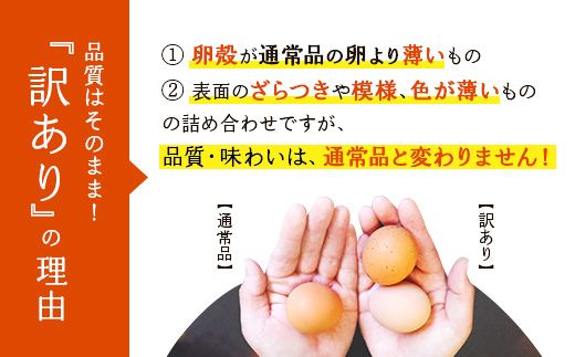 卵【わけあり】霧島山麓育ち こだわり卵 康卵 MSサイズ 計 50個 × 4ケース 計 200個（180個 + 割れ保証 20個）たまご 玉子 タマゴ 卵焼き 玉子焼き たまご焼き 生卵 鶏卵 平飼い 放し飼い たまごかけごはん 国産 九州産 宮崎県産 送料無料
