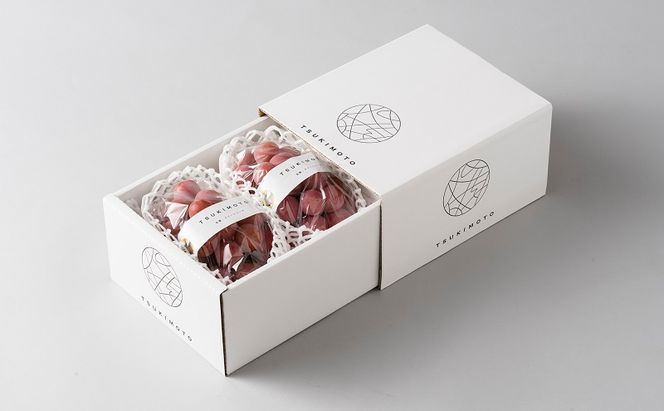 【定期便】【2026年先行予約】 ぶどう 岡山県産 ニューピオーネ ・ クイーンニーナ 1kg箱（各2～3房） 定期便 2回 《2026年8月下旬-9月中旬頃出荷》 葡萄 ブドウ 岡山県産 フルーツ 果物 数量限定 