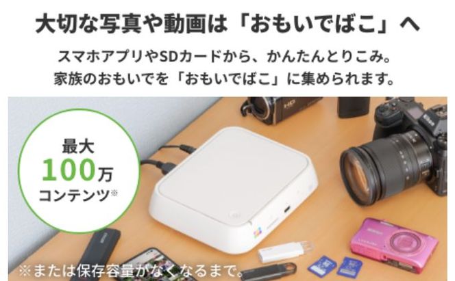 BUFFALO おもいでばこ DVDドライブ セット 4TB データ保存 取り込み 家電