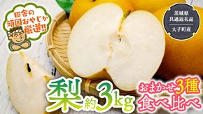 梨 食べ比べ 品種おまかせ3種類 約3kg【2026年8月より発送開始】（茨城県共通返礼品 [梨]：大子町産）田舎の頑固おやじが厳選！ 幸水 豊水 新高 南水 二十世紀