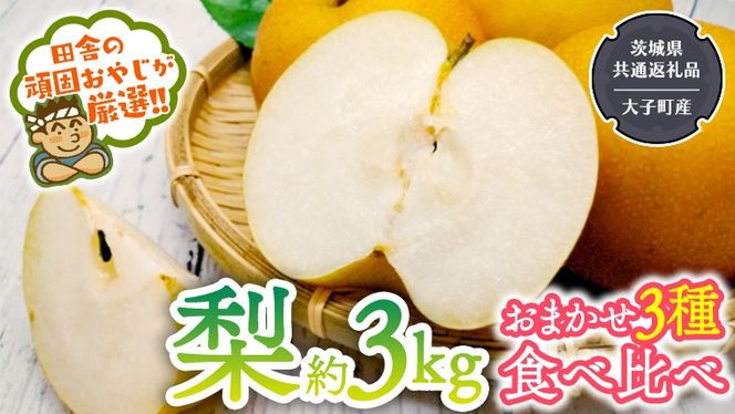 梨 食べ比べ 品種おまかせ3種類 約3kg【2026年8月より発送開始】（茨城県共通返礼品 [梨]：大子町産）田舎の頑固おやじが厳選！ 幸水 豊水 新高 南水 二十世紀