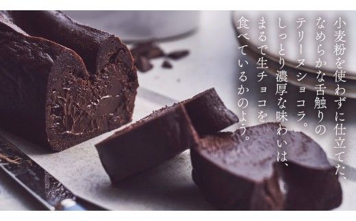 【 禁断の幸せ 】 テリーヌショコラ チョコ チョコレート 生チョコ ショコラ ケーキ デザート スイーツ テリーヌ 贈り物 贈答 ギフト バレンタイン ホワイトデー [CS007ci]